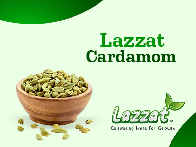 cardamom-img1